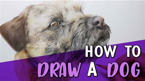 HOW TO DRAW A DOG | Coloured Pencil Tutorial | Art drawings beautiful ...