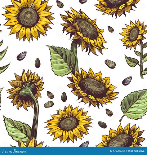 Sunflowers Seamless Border.Watercolor Flowers And Leaves On A White Background. Royalty-Free ...