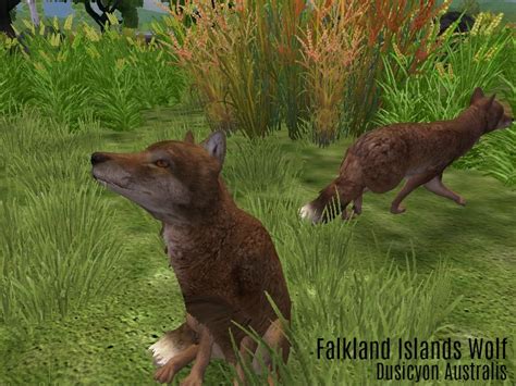 ZT2 Showcase - Falkland Islands Wolf by ProfDanB on DeviantArt