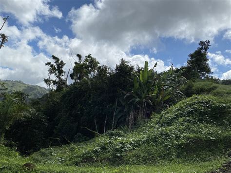 Bezoek Orocovis: Het beste van reizen naar Orocovis, Puerto Rico in ...