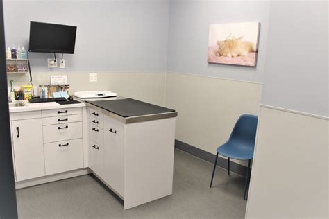 Veterinary Appointment in Brooklyn, NY | Williamsburg Veterinary Clinic