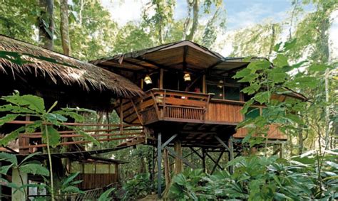 Costa Rica Tree House Lodge - Book Direct for Best Rates + Extras