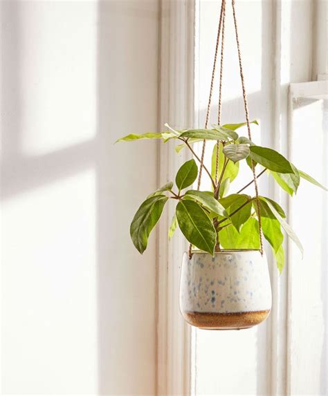 8 Hanging Planters That Will Make You and Your Plants Happy | Hanging planters indoor, Hanging ...