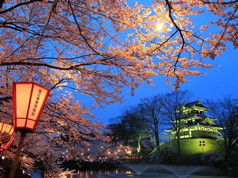 Japanese Night Beauty, lamp, home, sky, asia, lake, cherry blossom, lights, tree, HD wallpaper ...