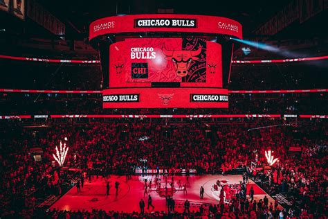 Chicago Bulls