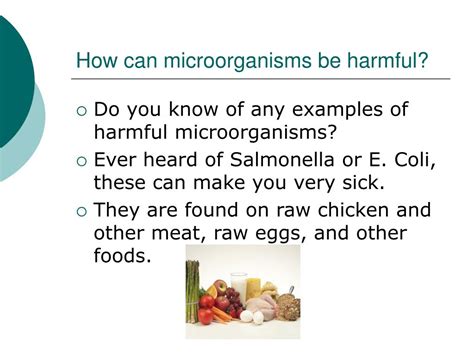 PPT - Microorganisms PowerPoint Presentation, free download - ID:371592