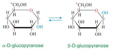 The term anomers of glucose refers to:(A) isomers of glucose that differ in configurations at ...