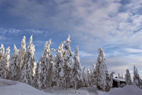 HI Finland Blog: Lapland, true winter wonderland destination: start from Rovaniemi