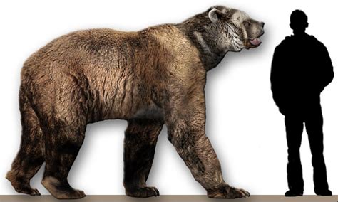 5 Prehistoric Bear Species That Dwarf Modern Bears | OutdoorHub