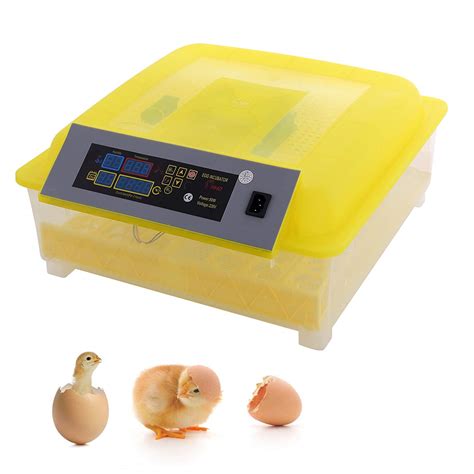 Best Egg Incubators 2022| Top Professional Egg Incubator for the Money