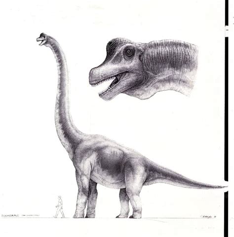 Jurassic Park Concept Art - Brachiosaurus by IndominusRex on DeviantArt