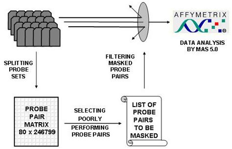 Schema of Affymetrix data analysis restricted to excellent performing... | Download Scientific ...