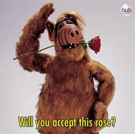 Alf Quotes - ShortQuotes.cc