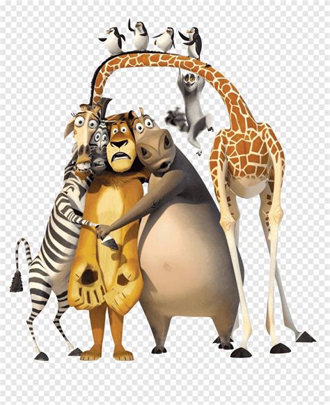 YouTube Madagascar Melman Animation, gato de botas, mamífero, girafa png | PNGEgg