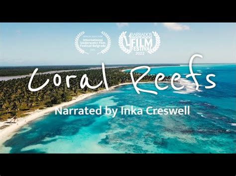 Coral reefs: The rainforests of the sea | TED-Ed