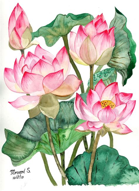 My lotus painting. Peaceful #lotus #watercolor #painting #ดอกบัว | Tulips art, Lotus painting ...