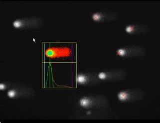 comet assay analysis software - memekuch