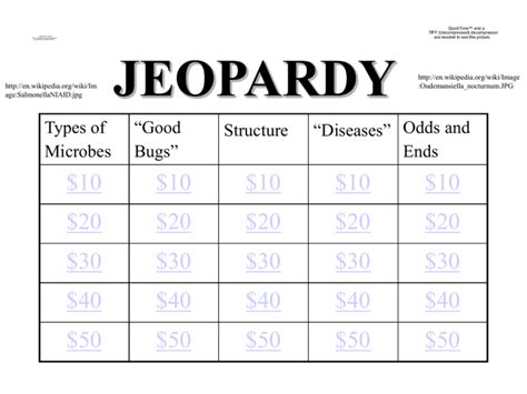 Microbe Jeopardy