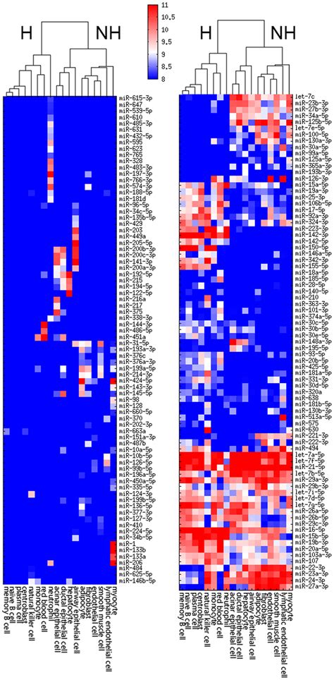 microRNA expression patterns across 18 cell types. These 157 microRNAs ...