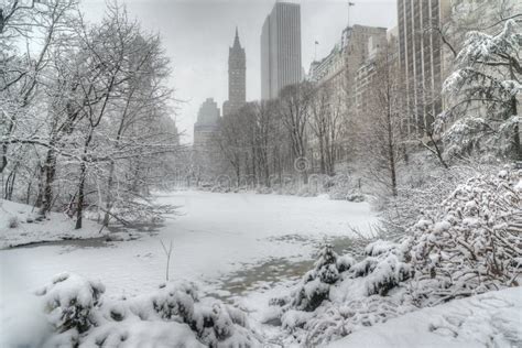 Winter Storm Central Park, New York City Stock Image - Image of city, manhattan: 51932803