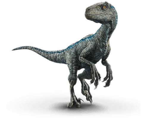 Velociraptor, Blue. | Blue jurassic world, Jurassic park, Jurassic world