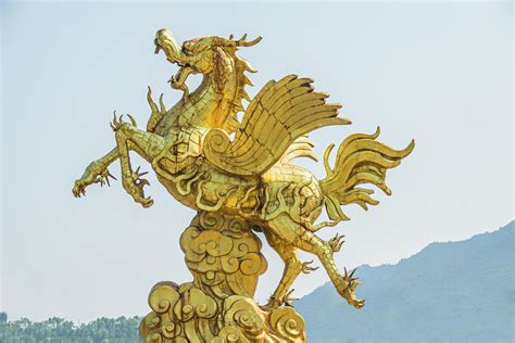 Gold Dragon Statue · Free Stock Photo