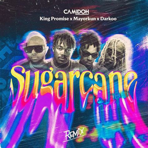 Camidoh – Sugarcane Remix Lyrics | Genius Lyrics