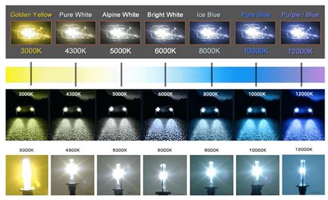 Headlight Yellow Hex Code Color