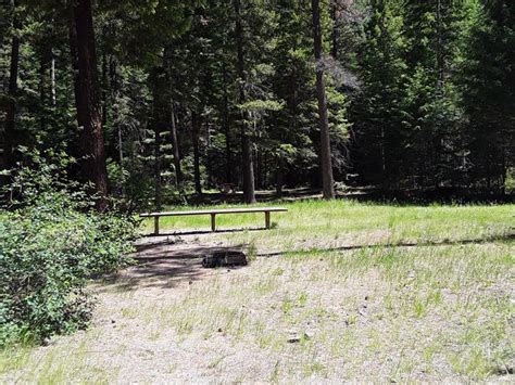 Trout Creek Campground (MT), Lolo National Forest - Recreation.gov