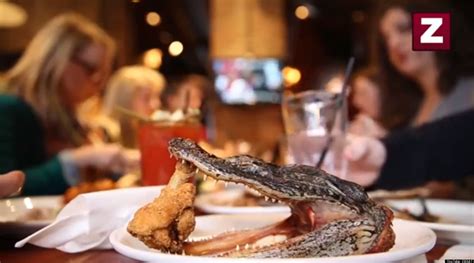 Whole Alligator From Frontier Restaurant Tastes Like Chicken (VIDEO ...