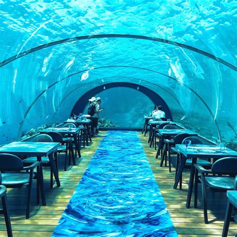 5.8 Underwater Restaurant