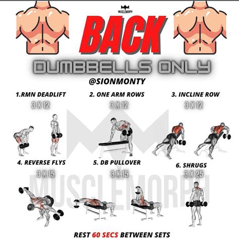 Back Workouts With Dumbbells