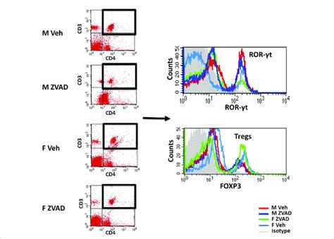 T cell profiles were analyzed by flow cytometry. Shown are... | Download Scientific Diagram