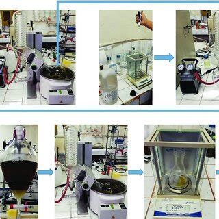 Esterification reaction | Download Scientific Diagram