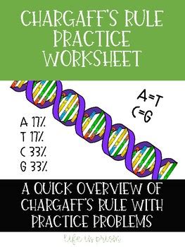 Chargaff's Rule Practice Worksheet Answer Key 30+ Pages Answer [1.6mb ...