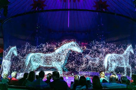 Circus With Virtual Animals: Holograms In Place Of Real Animals