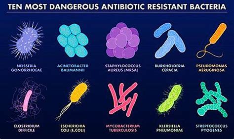 Study Questions Conventional Approach to Halting Spread of Drug ...