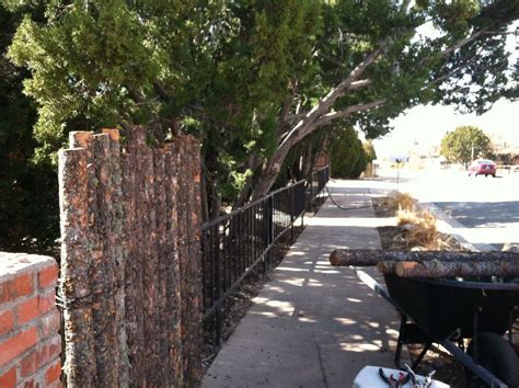 Coyote Fencing | Diy garden fence, Fence decor, Farm landscaping