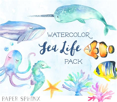 Sweet Sea Life Watercolor Pack ~ Illustrations ~ Creative Market