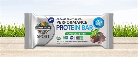 4 Plant-Based Protein Bars That’ll Make You A Believer | What's Good by V