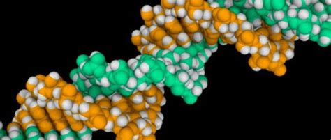 Histone Modifications - What is Epigenetics?