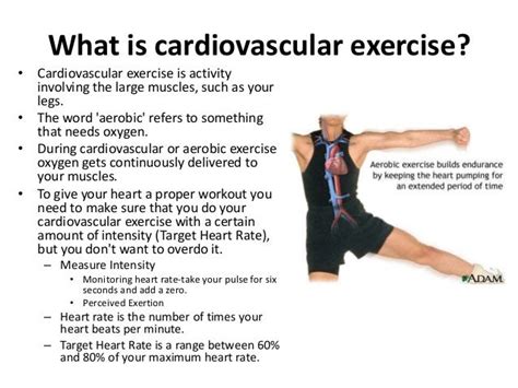 Building cardiovascular fitness