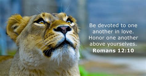 Romans 12:10 - Bible verse - DailyVerses.net