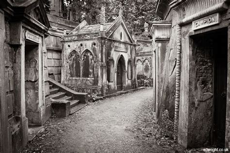 Highgate Cemetery by Adam Wright, photographer | Highgate cemetery, Highgate, Cemetery