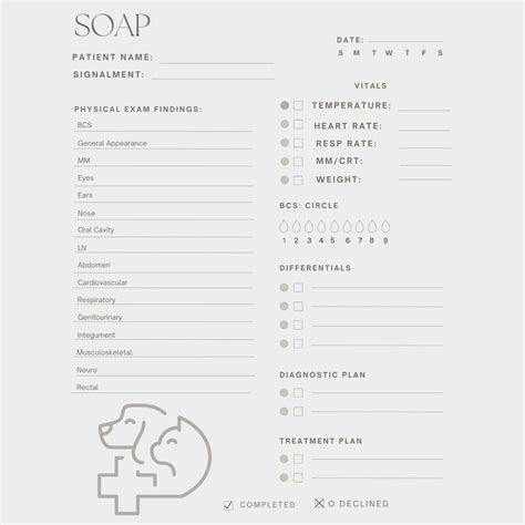 Veterinary SOAP Template Easy Download. Vetmed Record Template ...