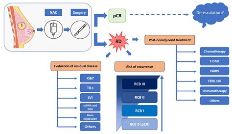 Cancers | Free Full-Text | Post-Neoadjuvant Treatment Strategies for ...