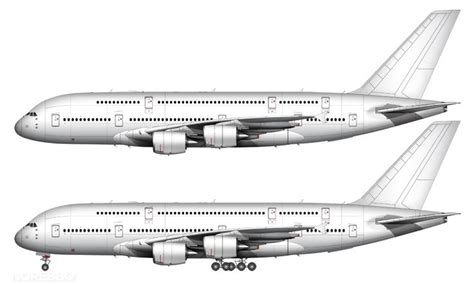 Airbus A380-800 blank illustration templates | Airbus, Airbus a380 ...