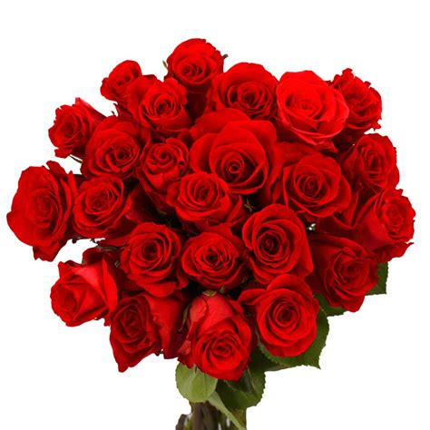 Globalrose Fresh Red Valentine´s Day Roses (50 Stems)-50-red-roses-short - The Home Depot