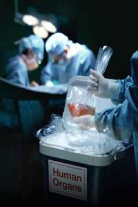 Could we clone our organs to be used in a transplant? | HowStuffWorks