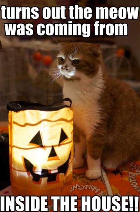 60+ Hilarious Halloween Memes - Inspirationfeed